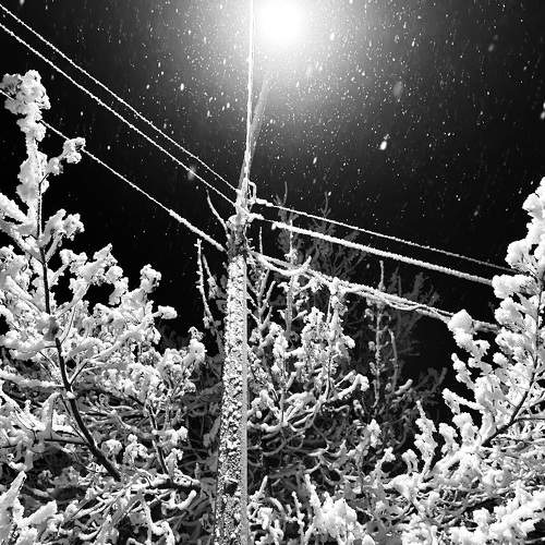 Photo #10160911