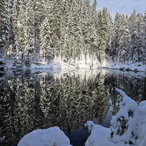 Photo #10160938