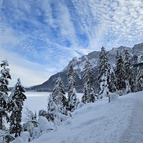 Photo #10160947