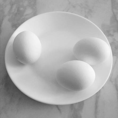 Photo #10161434