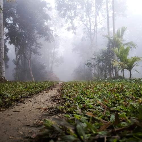 Photo #10162184
