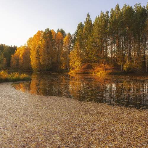 Photo #10162212