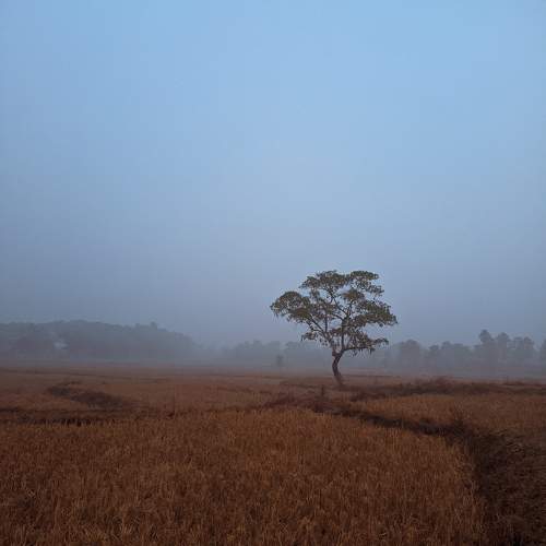 Photo #10162225