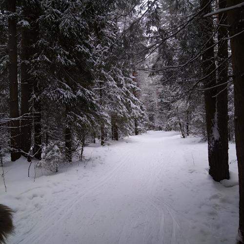 Photo #10162354