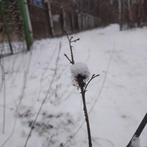 Photo #10162365