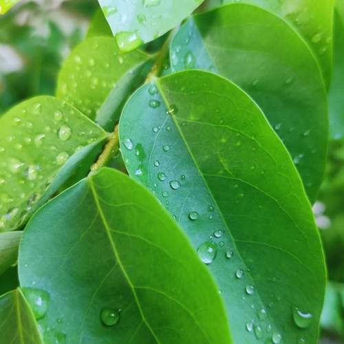 Photo #10162369