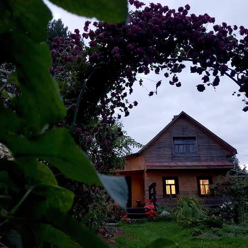 Photo #10162554