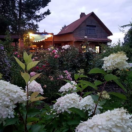 Photo #10162555