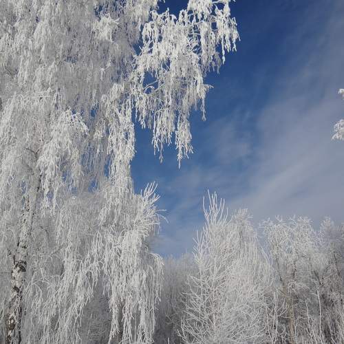 Photo #10162683