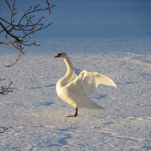 Photo #10162824