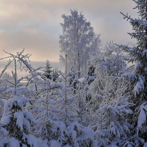 Photo #10162967