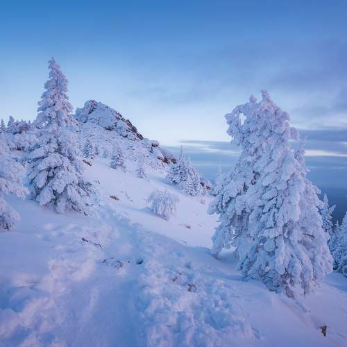 Photo #10163059