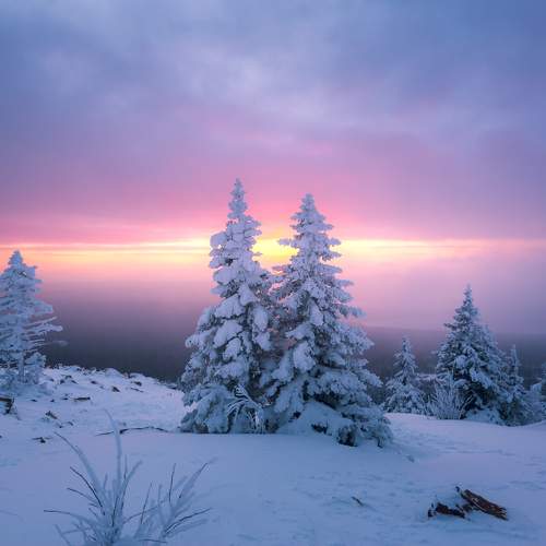 Photo #10163060