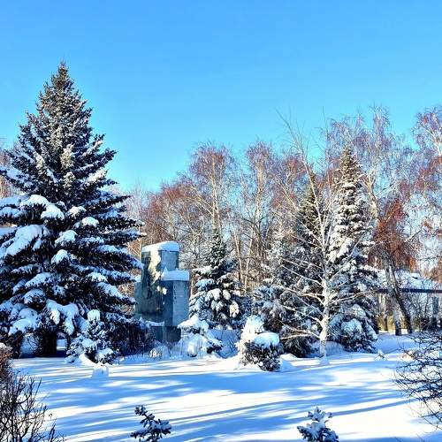 Photo #10163300