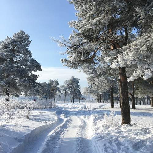 Photo #10164039