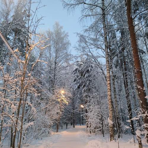 Photo #10164486