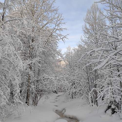 Photo #10164487