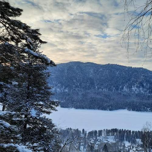 Photo #10164546