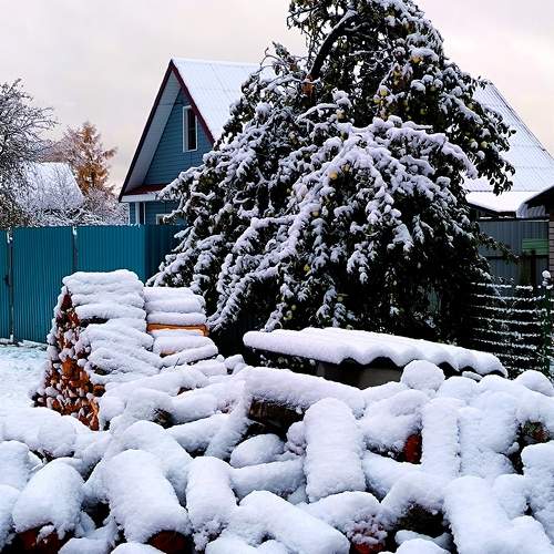 First snow