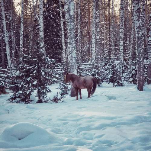 Photo #10164656