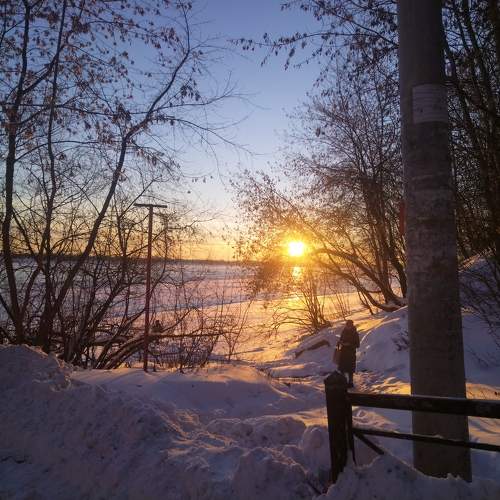 Photo #10164767