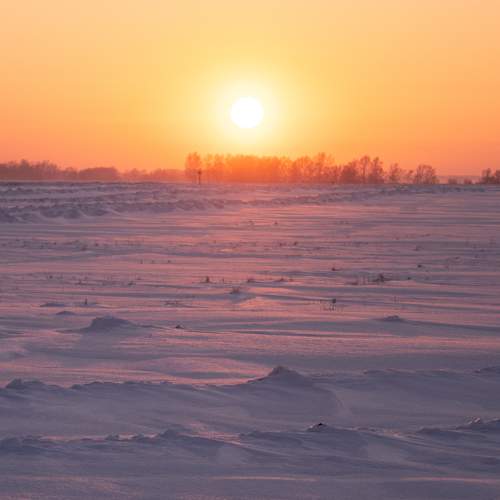 Photo #10165161