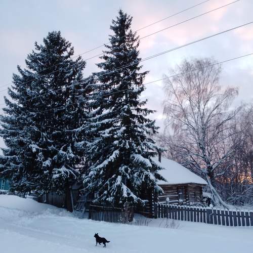 Photo #10165414