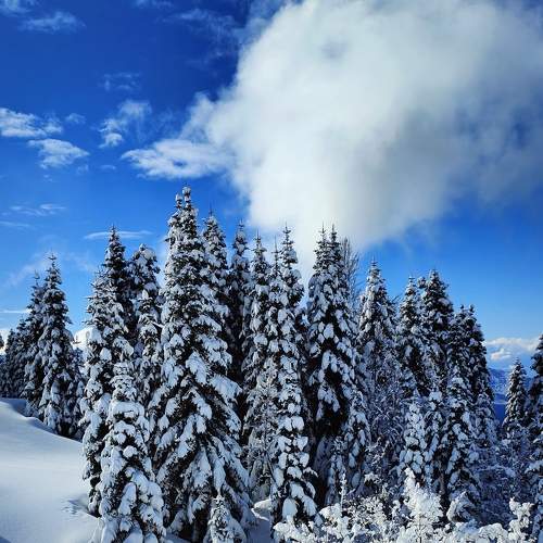 Photo #10165434