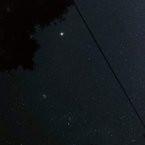 Photo #10165474
