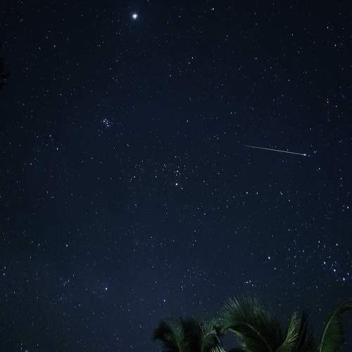 Photo #10165475