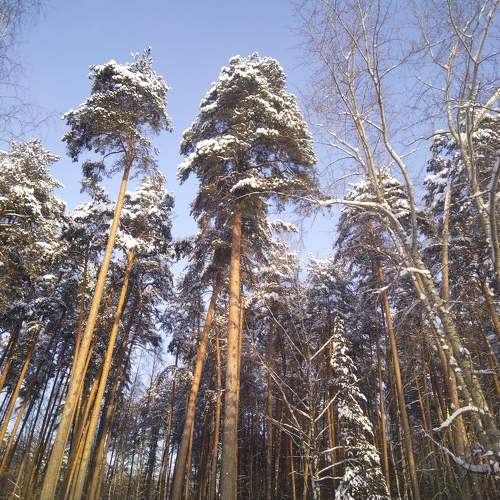 Photo #10165534