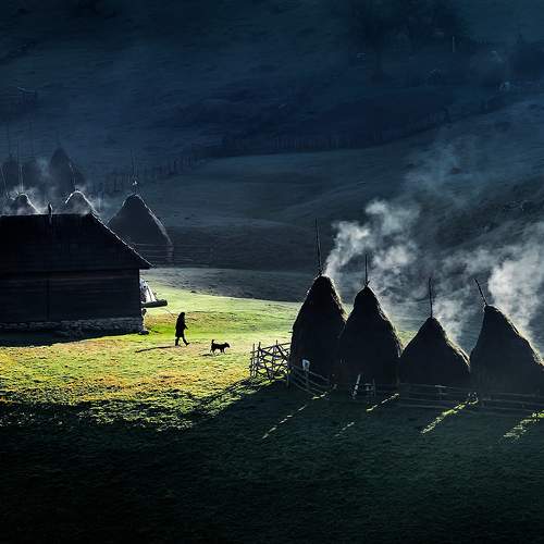 Photo #10165594