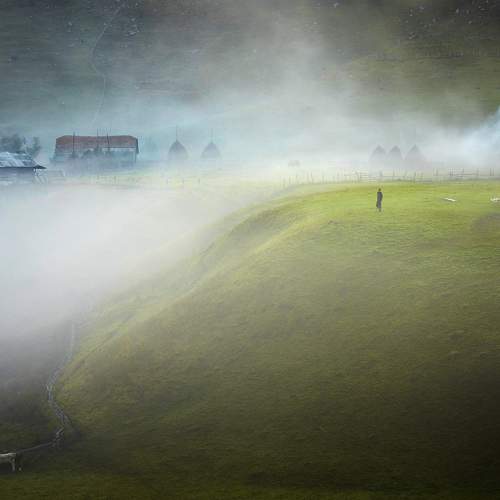 Photo #10165613