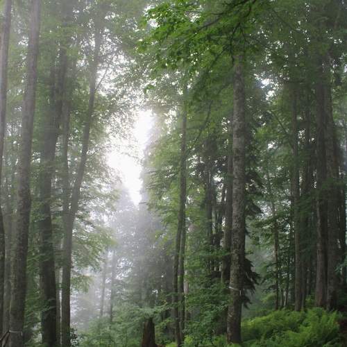 Photo #10165649
