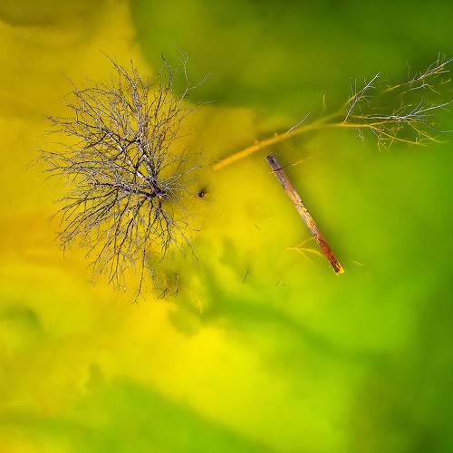 Photo #10165656