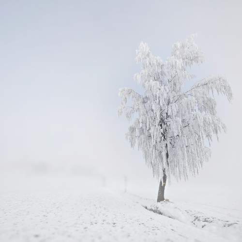 Photo #10165694