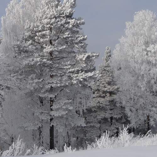 Photo #10165743
