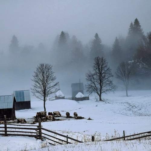 Photo #10165761