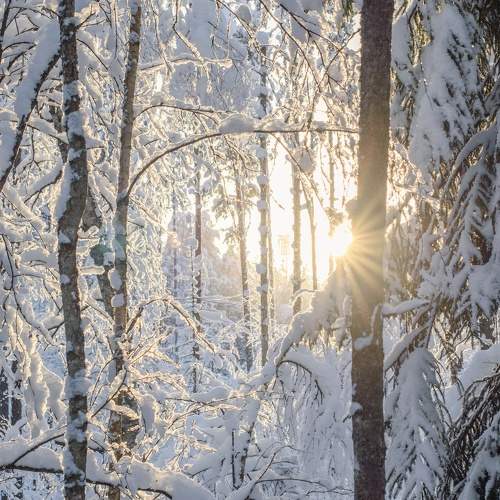 Photo #10165794