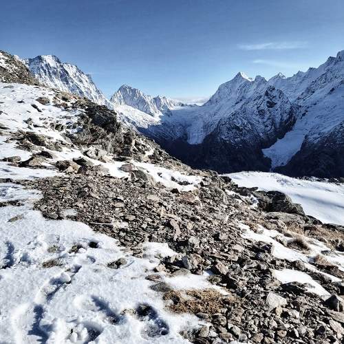 Photo #10166137