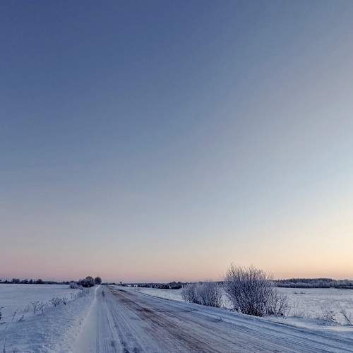 Photo #10166589