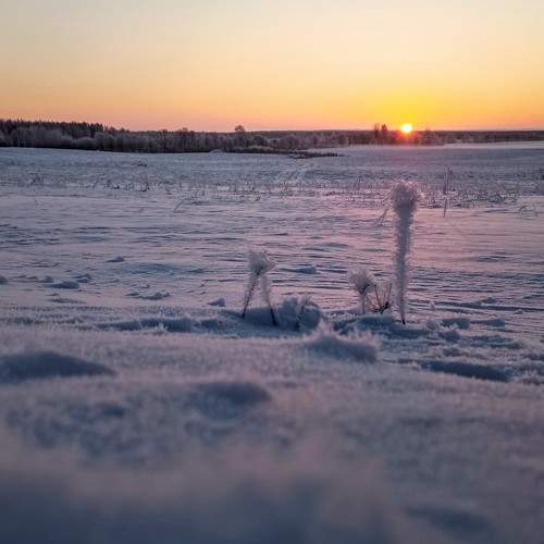Photo #10166590
