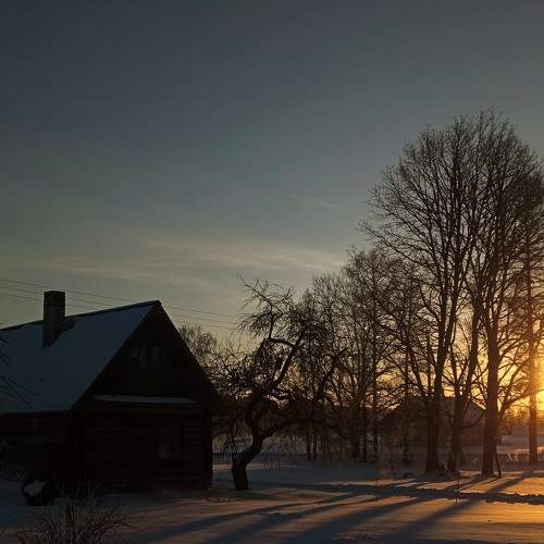 Photo #10166616
