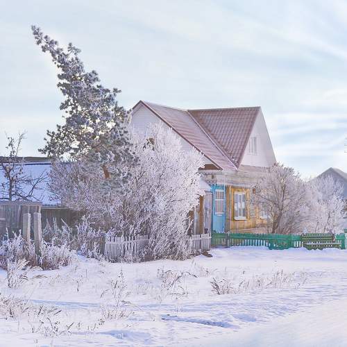 Photo #10166990