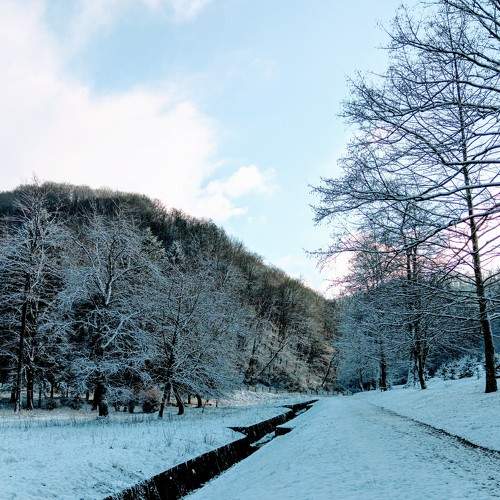 Photo #10167003