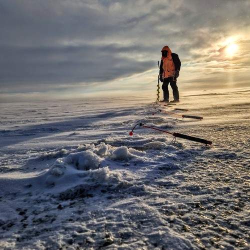 Photo #10167131