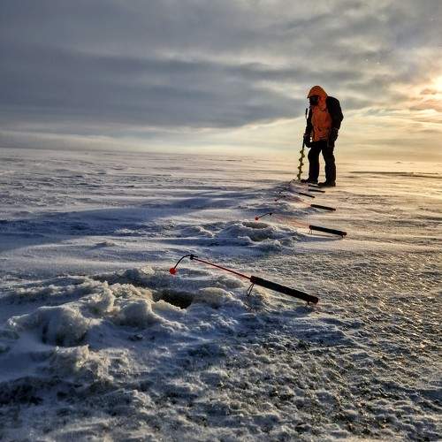 Photo #10167132