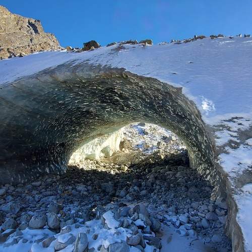 Photo #10167167