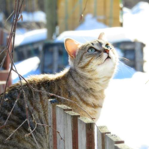 Photo #10167434