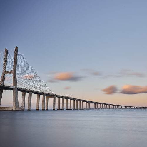 Photo #10167688